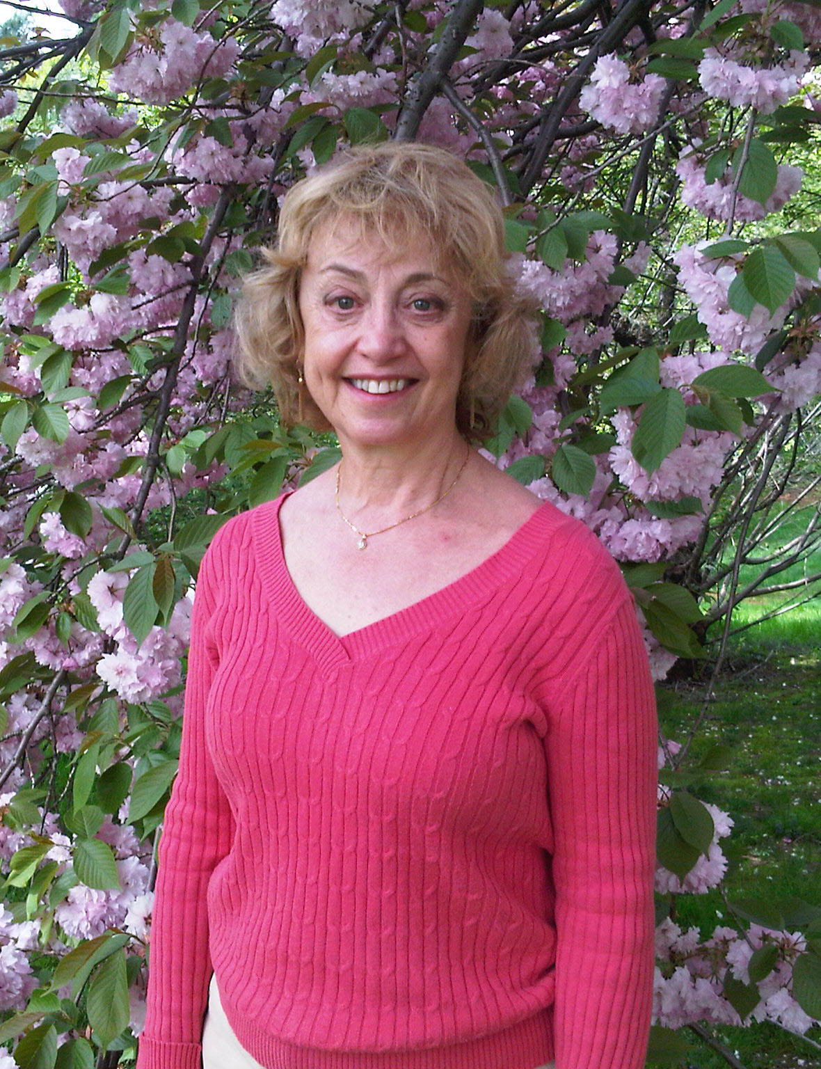Dr Sue Cherry Blossoms